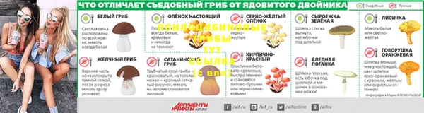 тгк Инсар