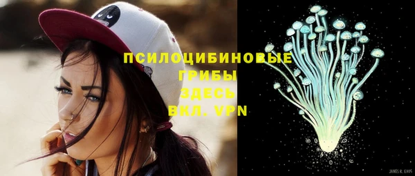 бутират Инта