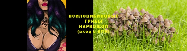 дурь Волоколамск