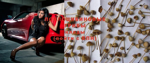 дурь Волоколамск