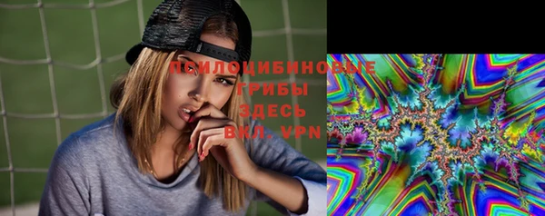дурь Волоколамск