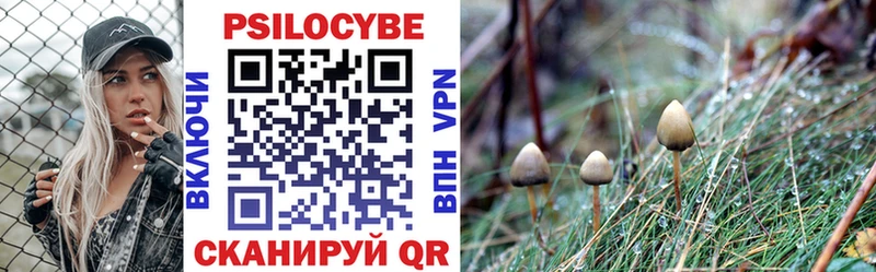 Галлюциногенные грибы ЛСД  Сочи 