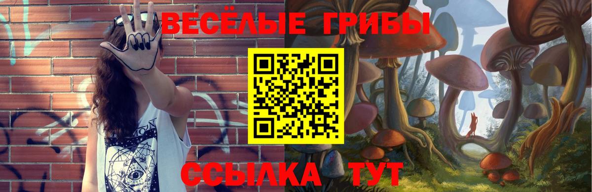 Сочи  Галлюциногенные грибы мухоморы  Вход с VPN 